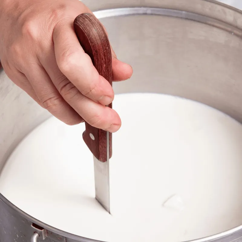 Milk setting with rennet