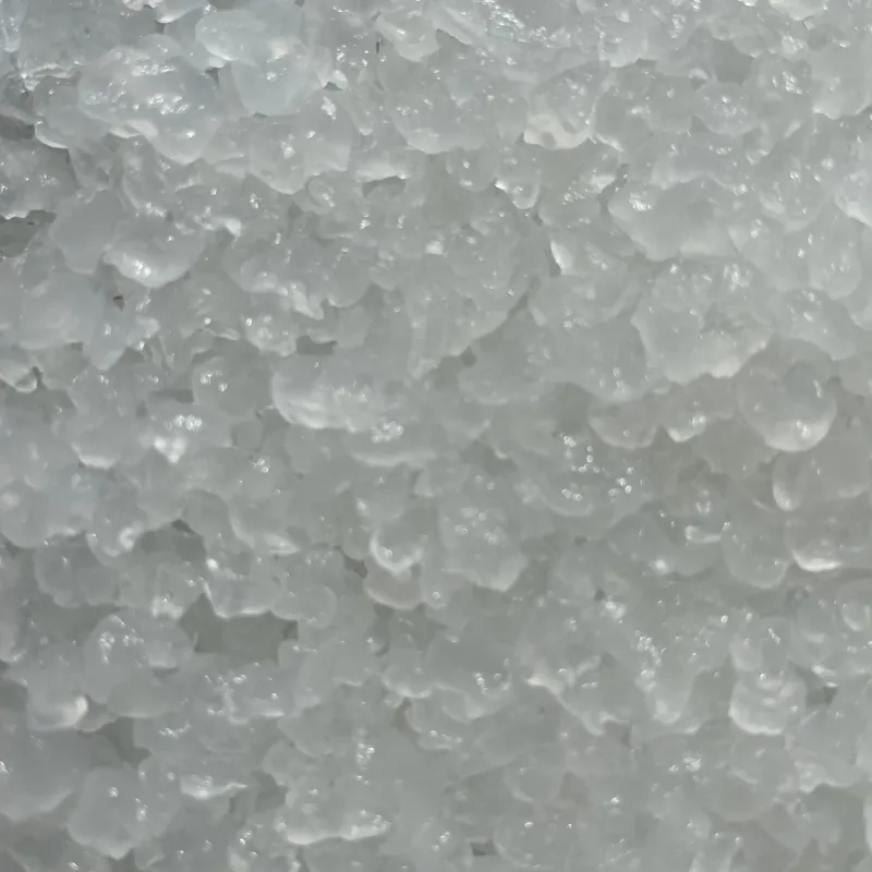 Water kefir grains close up